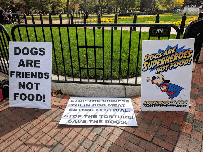 Dogs Are Friends Not Food, White House, Washington, DC