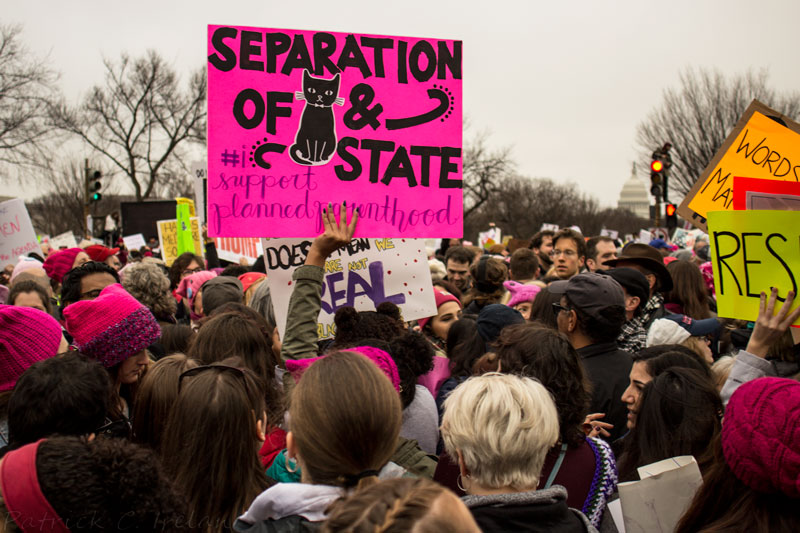Separation of Cat and State, 2017 Women’s March, National Mall, Washington, DC