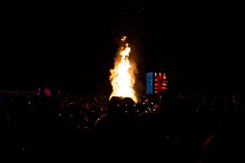 Bonfire, Catharsis on the Mall, Washington, DC