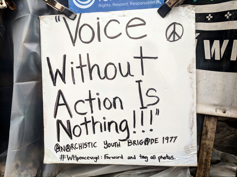 Voice Without Action Is Nothing!!!, White House, Washington, DC