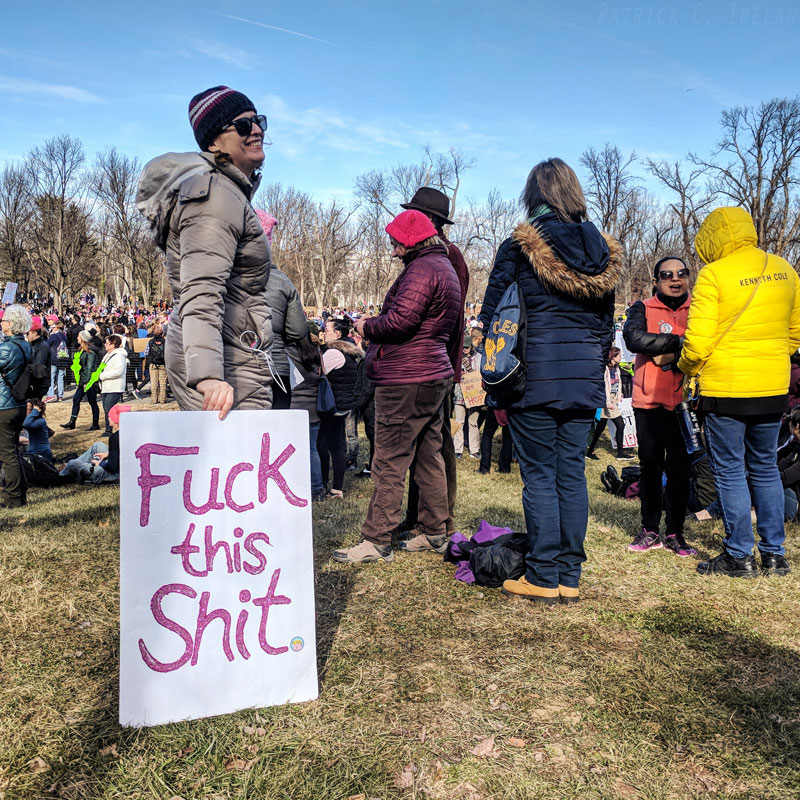 Fuck This Shit, 2018 Women’s March, Lincoln Memorial, Washington, DC