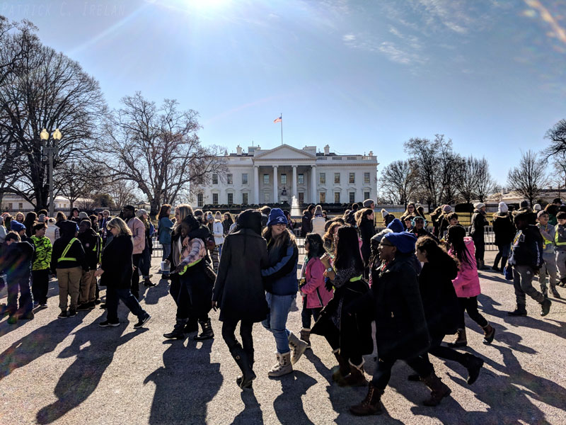 Temporarily Crowded Pennsylvania Avenue, White House, Washington, DC
