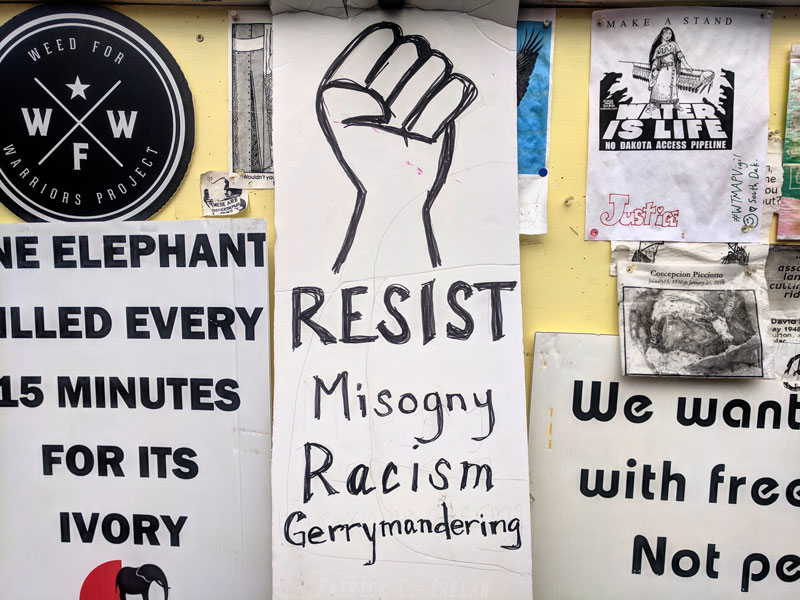 Resist Misogyny, Racism, Gerrymandering, White House, Washington, DC